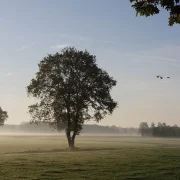 7-retreat+locatie+dalfsen